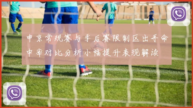 申京常规赛与季后赛限制区出手命中率对比分析小幅提升表现解读